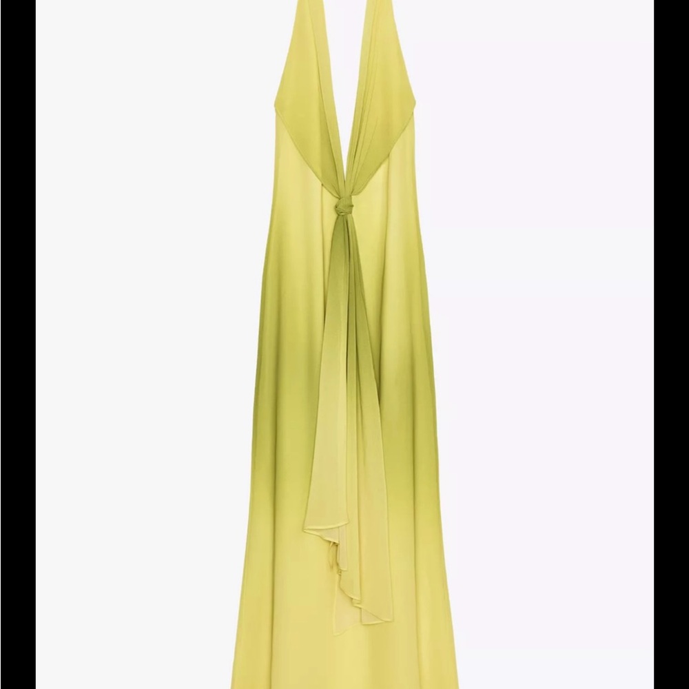 Zara Yellow Maxi Dress